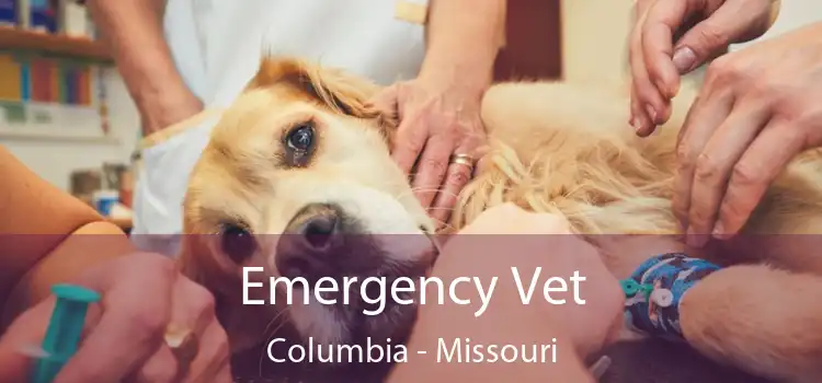 Emergency Vet Columbia - Missouri