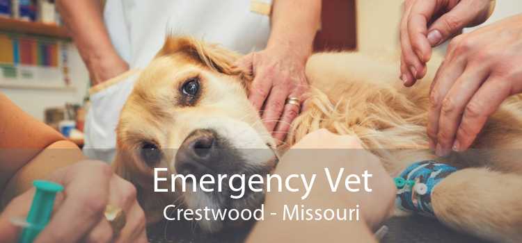 Emergency Vet Crestwood - Missouri