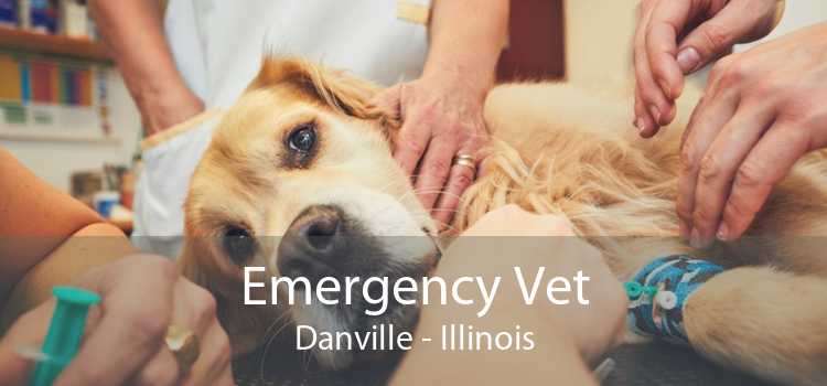 Emergency Vet Danville - Illinois