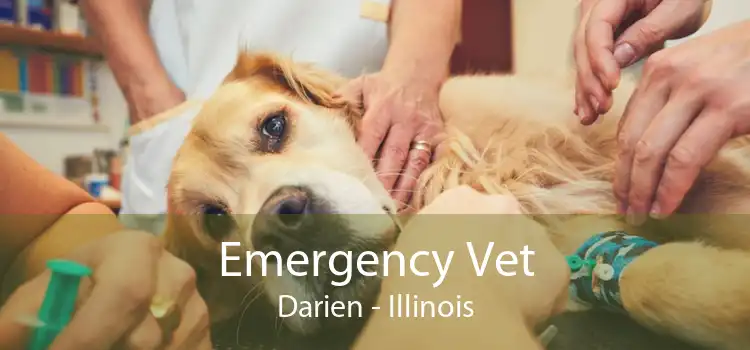 Emergency Vet Darien - Illinois