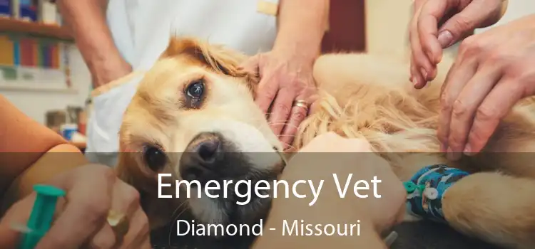 Emergency Vet Diamond - Missouri