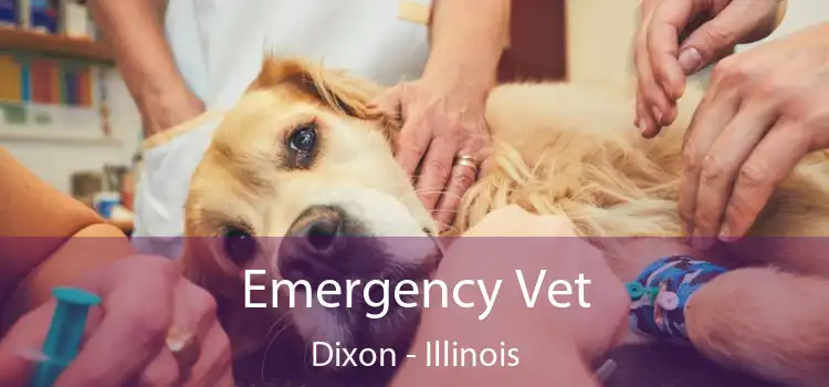 Emergency Vet Dixon - Illinois