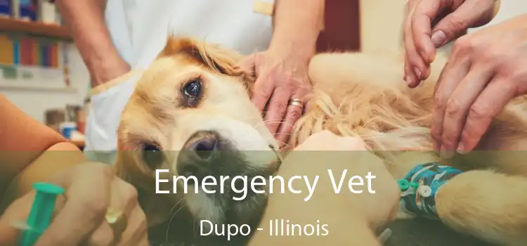 Emergency Vet Dupo - Illinois