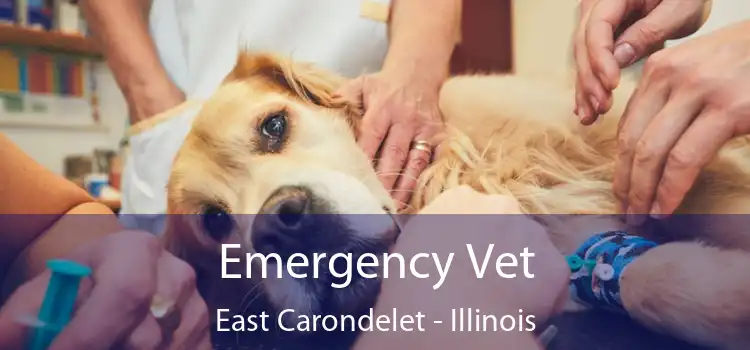 Emergency Vet East Carondelet - Illinois