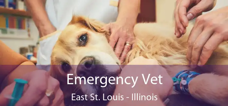 Emergency Vet East St. Louis - Illinois