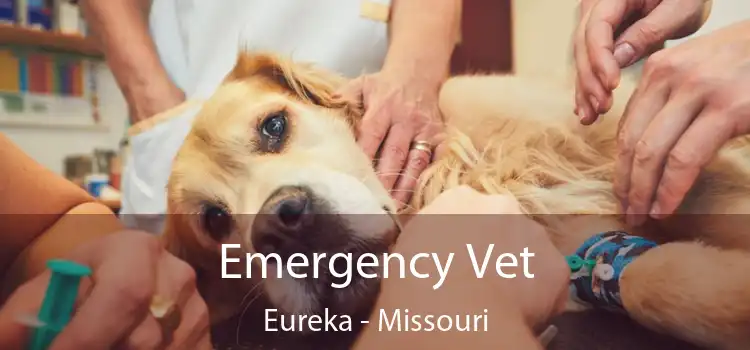 Emergency Vet Eureka - Missouri