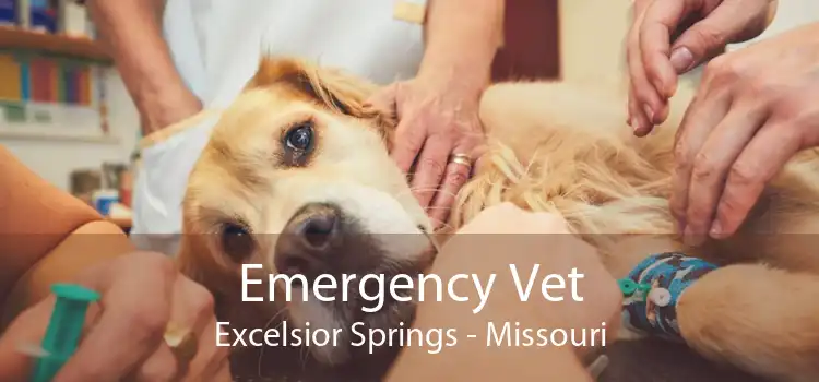 Emergency Vet Excelsior Springs - Missouri