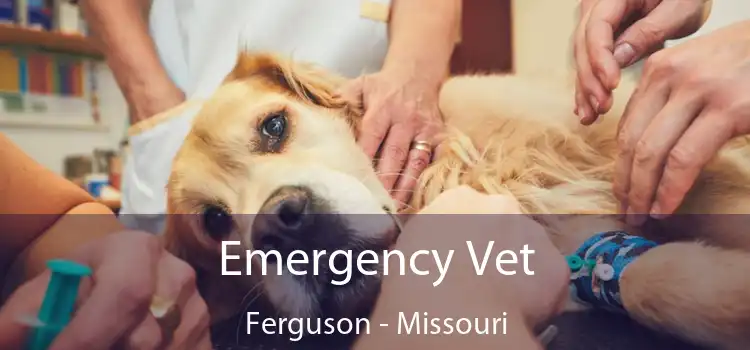 Emergency Vet Ferguson - Missouri