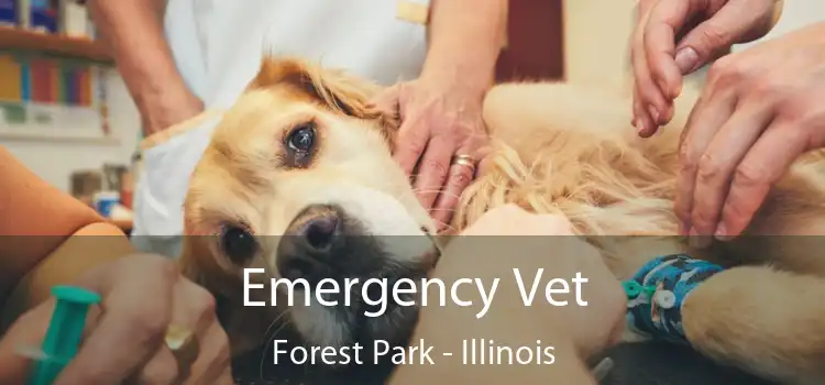 Emergency Vet Forest Park - Illinois