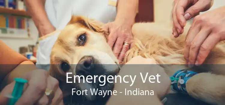 Emergency Vet Fort Wayne - Indiana