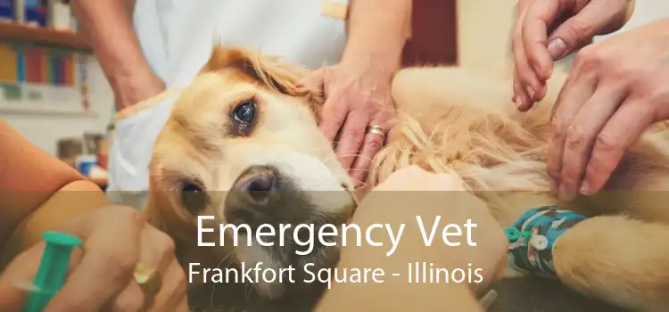 Emergency Vet Frankfort Square - Illinois