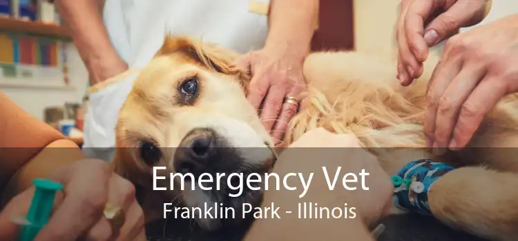 Emergency Vet Franklin Park - Illinois