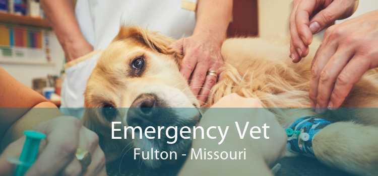 Emergency Vet Fulton - Missouri