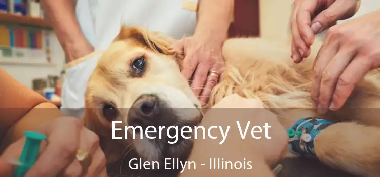 Emergency Vet Glen Ellyn - Illinois