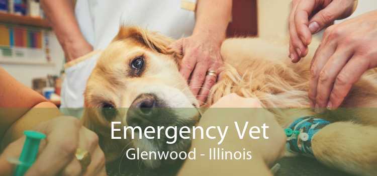 Emergency Vet Glenwood - Illinois