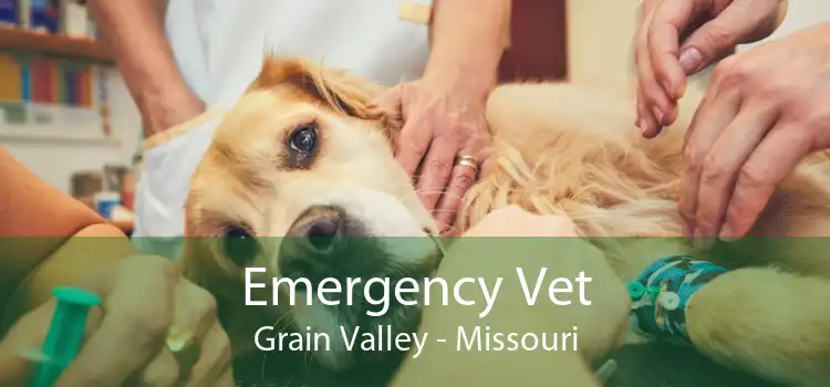 Emergency Vet Grain Valley - Missouri