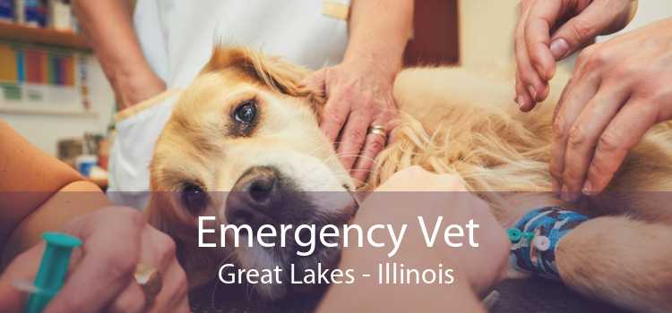 Emergency Vet Great Lakes - Illinois