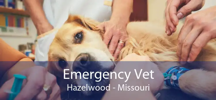 Emergency Vet Hazelwood - Missouri