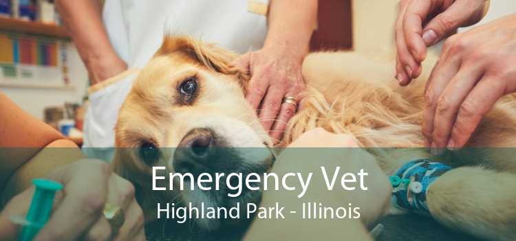 Emergency Vet Highland Park - Illinois