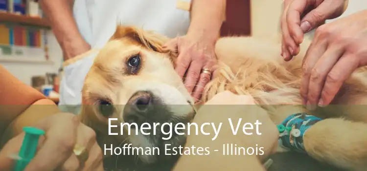 Emergency Vet Hoffman Estates - Illinois