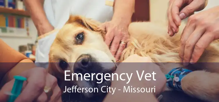 Emergency Vet Jefferson City - Missouri