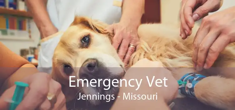 Emergency Vet Jennings - Missouri