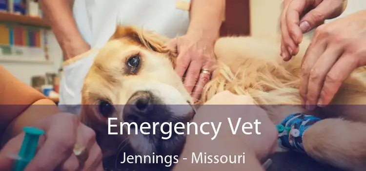 Emergency Vet Jennings - Missouri