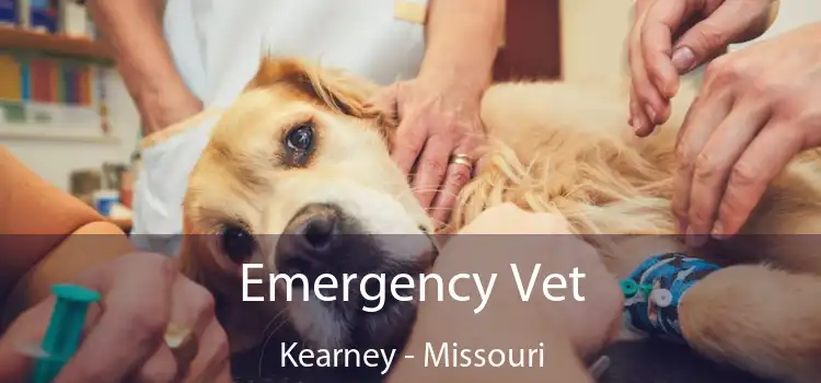 Emergency Vet Kearney - Missouri