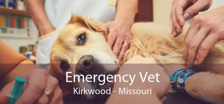 Emergency Vet Kirkwood - Missouri