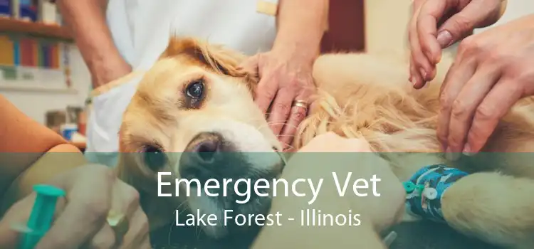 Emergency Vet Lake Forest - Illinois