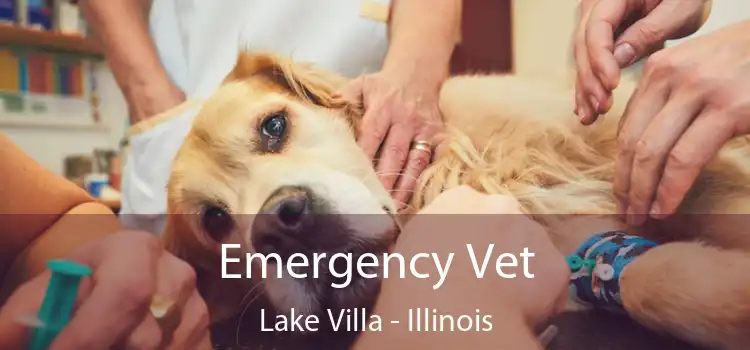 Emergency Vet Lake Villa - Illinois