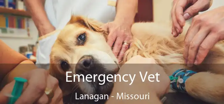 Emergency Vet Lanagan - Missouri