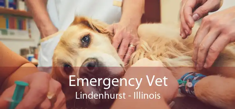 Emergency Vet Lindenhurst - Illinois