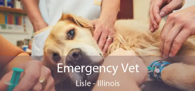 Emergency Vet Lisle - Illinois