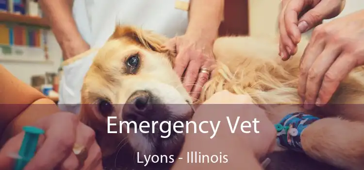 Emergency Vet Lyons - Illinois