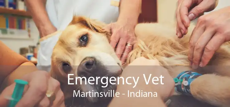 Emergency Vet Martinsville - Indiana