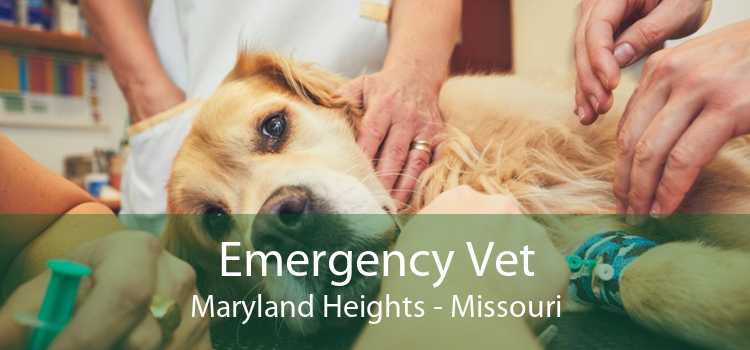 Emergency Vet Maryland Heights - Missouri