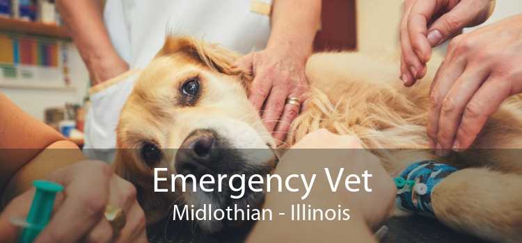 Emergency Vet Midlothian - Illinois