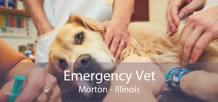 Emergency Vet Morton - Illinois