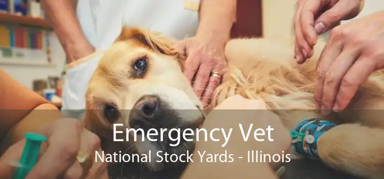 Emergency Vet National Stock Yards - Illinois