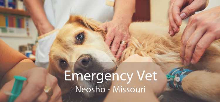 Emergency Vet Neosho - Missouri