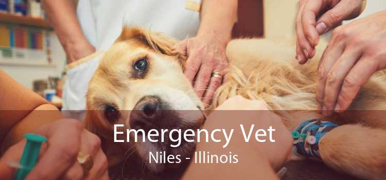 Emergency Vet Niles - Illinois
