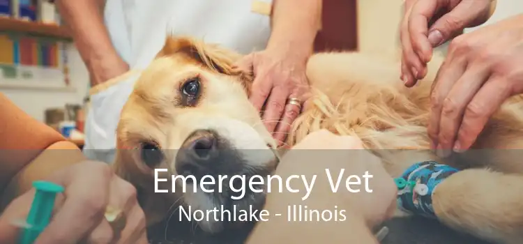 Emergency Vet Northlake - Illinois