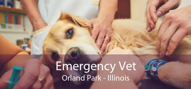 Emergency Vet Orland Park - Illinois