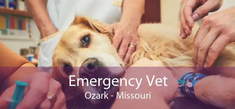 Emergency Vet Ozark - Missouri