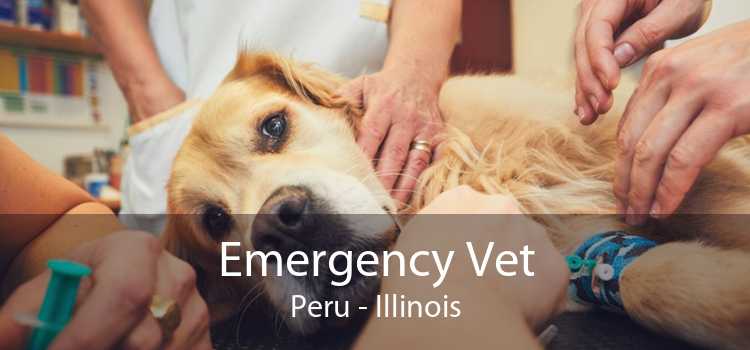 Emergency Vet Peru - Illinois