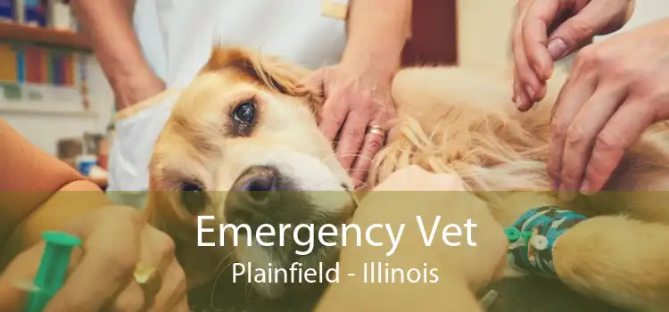 Emergency Vet Plainfield - Illinois