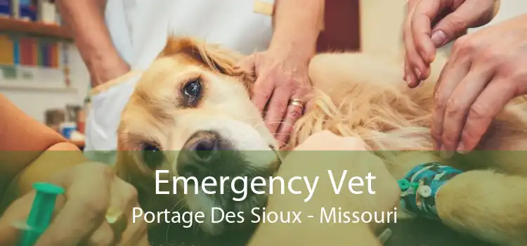 Emergency Vet Portage Des Sioux - Missouri