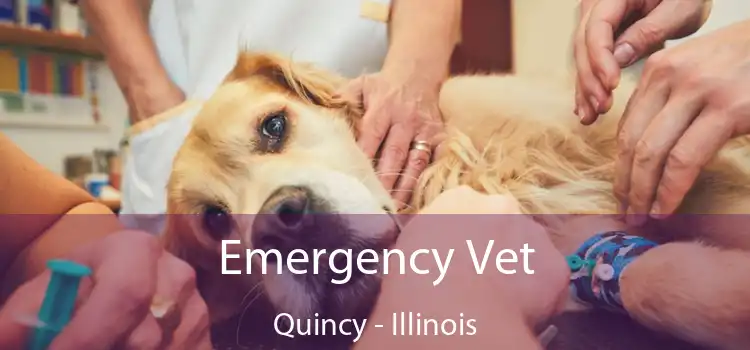 Emergency Vet Quincy - Illinois