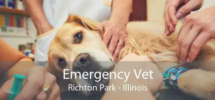 Emergency Vet Richton Park - Illinois